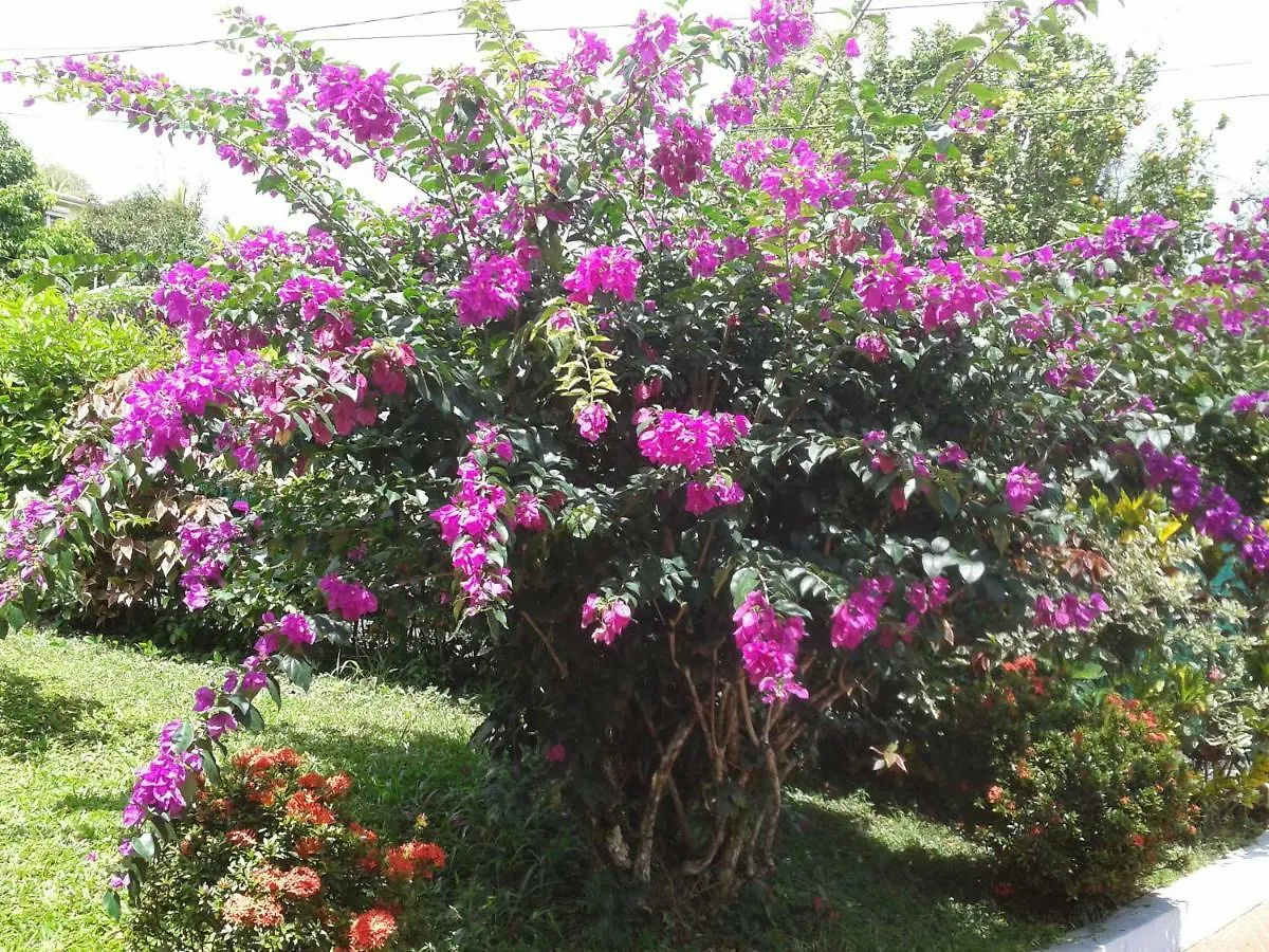Villa Obaki Sainte-Anne 0*,